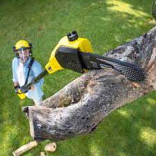 Best Pest Control for Lawns  in Hoquiam, WA